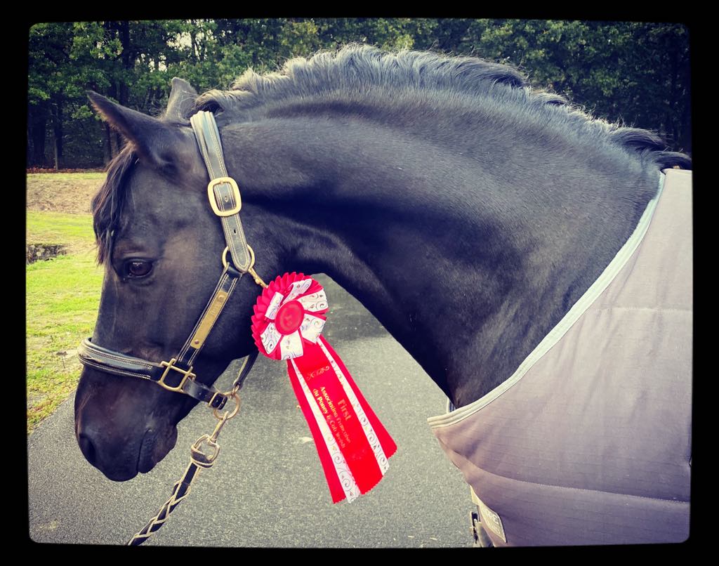 USANDRO TILIA DERLENN