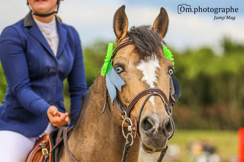 ANGIES STAR*D’OSEANA