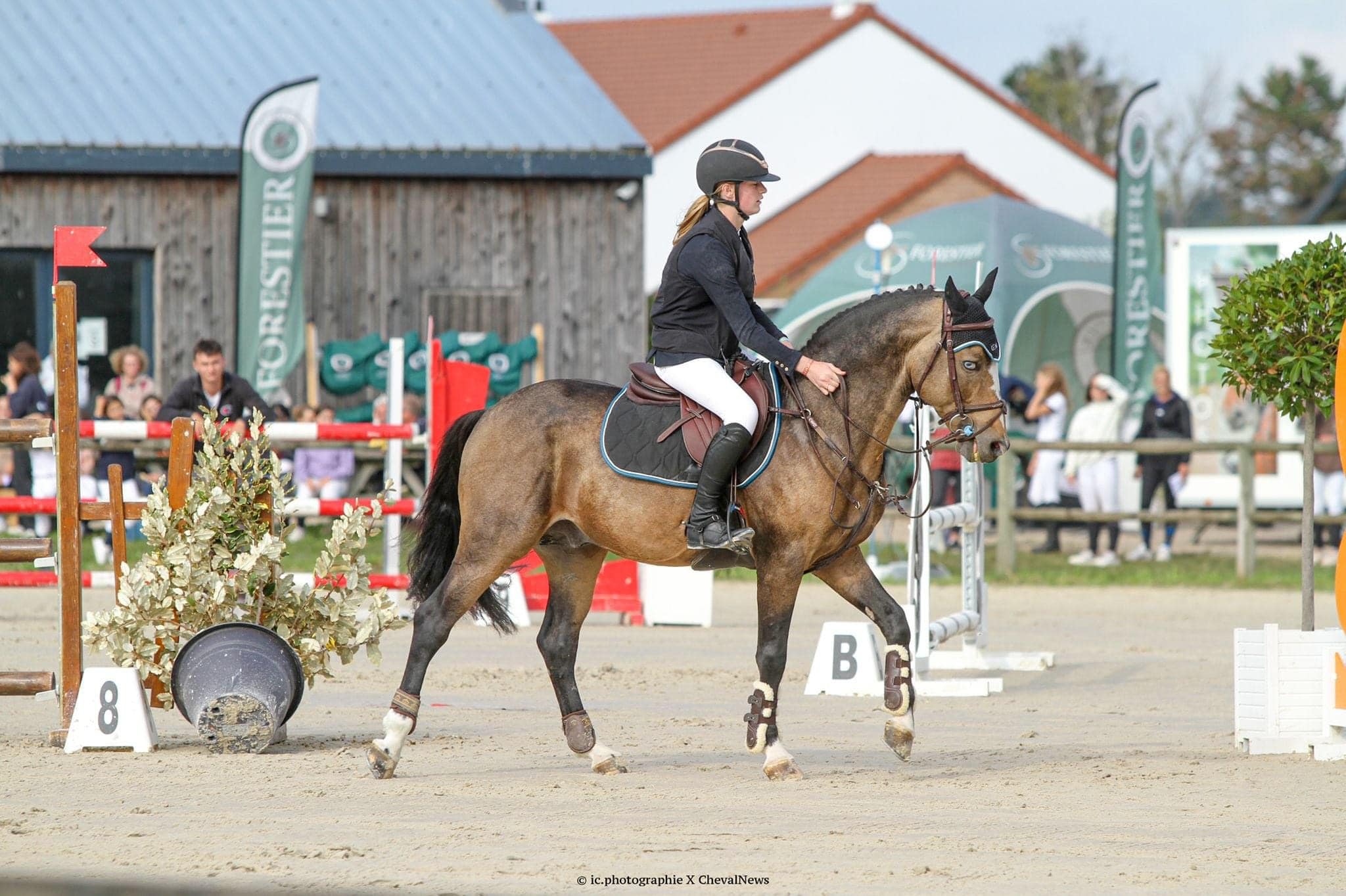 ANGIES STAR*D’OSEANA