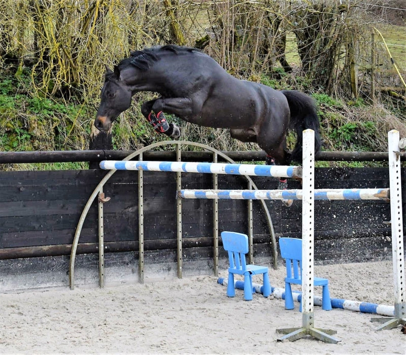 USANDRO TILIA DERLENN